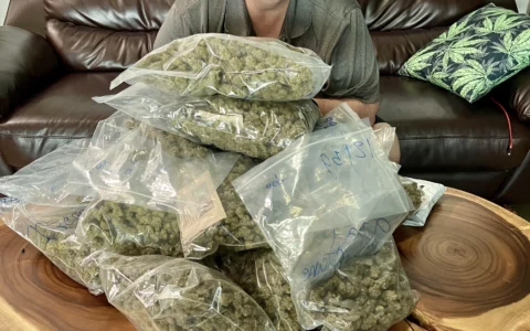 Mountain of Weed